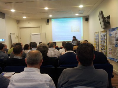 group_barcelona group_barcelona