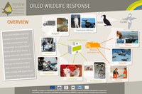 wildlife1_photo wildlife1_photo