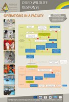 wildlife2_photo wildlife2_photo